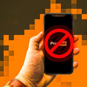 蜂鸟付费VPN